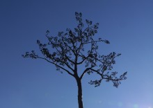 P1030077a